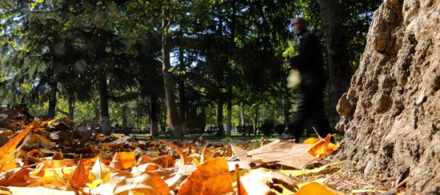 Moti sot: Diell me vranësira të lehta dhe mjegull në mëngjes