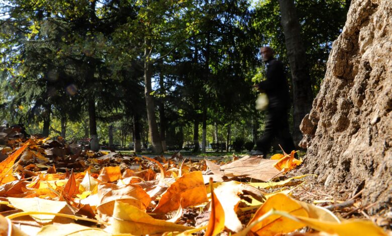 Moti sot  Diell me vranësira të lehta dhe mjegull në mëngjes