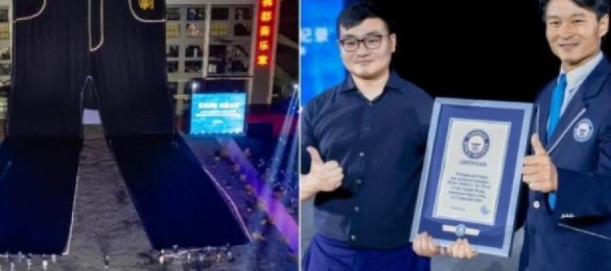 Xhinset më të mëdha në botë – 76 metra të gjata dhe peshojnë 3.6 tonë