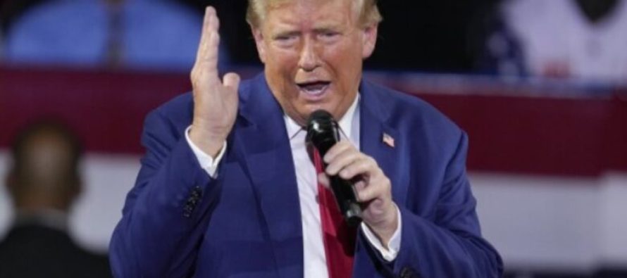 Gjithnjë e më shumë baste për një fitore të Trumpit, e cila është arsyeja e rritjes së vlerës së Bitcoin