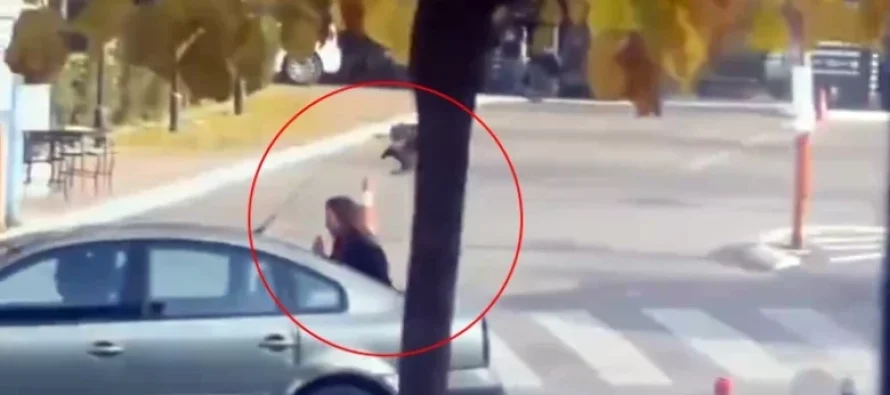 Pse sulmojnë sorrat dhe si të mbroheni