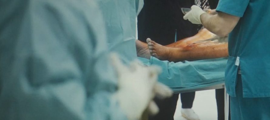 Veshkë, zemër dhe mëlçi janë organet për të cilat ka nevojë më të madhe për transplantim