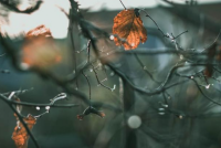 Shi, borë dhe mjegull – çfarë duhet të dini për motin dhe rrugët sot?