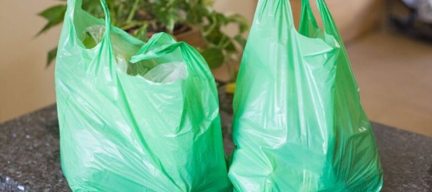 Qeset e plastikës dhe plastika për një përdorim janë të ndaluara për përdorim në Mal të Zi