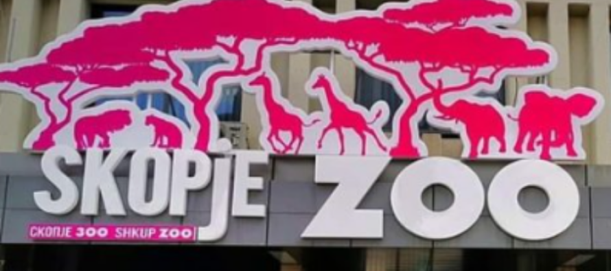Këshilli i Bashkisë së Shkupit nuk e pranon kërkesën për vendosjen e kafshëve të reja në Kopshtin Zoologjik