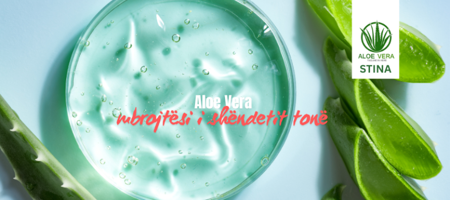 Aloe Vera – mbrojtësi i shëndetit tonë