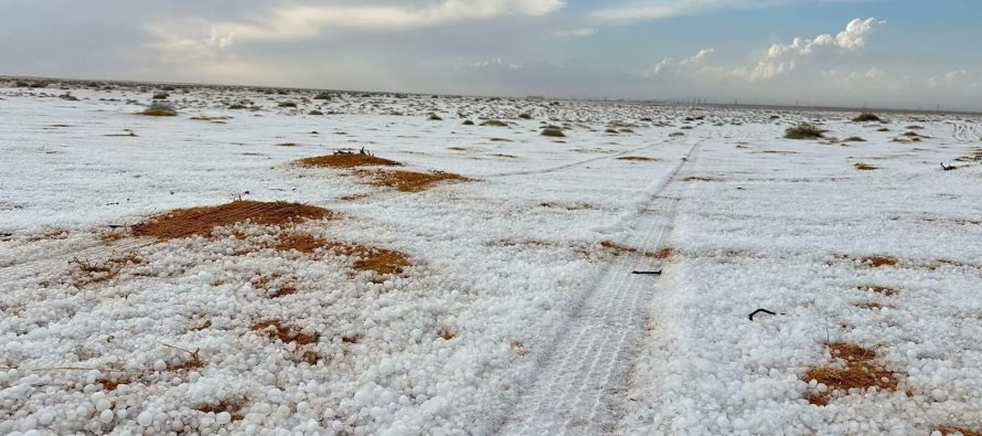 E pazakontë: Bie borë në Arabinë Saudite