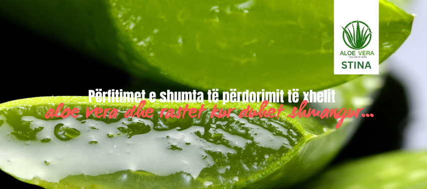 Si të përdorni aloe vera për sëmundje të ndryshme  efektet që ka kjo bimë