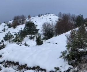 Bora | Pesë fëmijë dhe një i rritur shpëtohen pasi u bllokuan nga bora