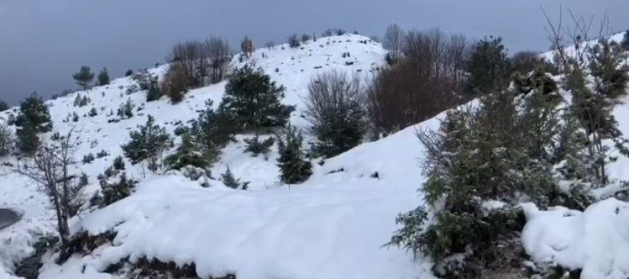 Bora | Përmbyset një kamion, mbyllet autostrada nga Demir Kapia në Smokvicë