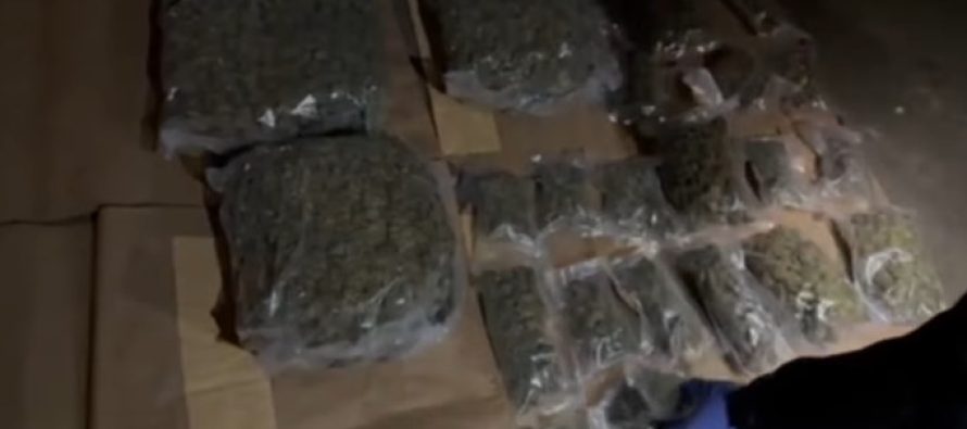 Bastisje në Shkup, gjenden mbi 4 kilogramë marihuanë, arrestohet një person