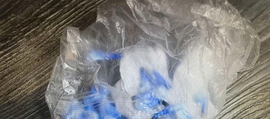 Bastisje në Çegran, kapen drogë dhe para, në arrest dy dilerë të drogës