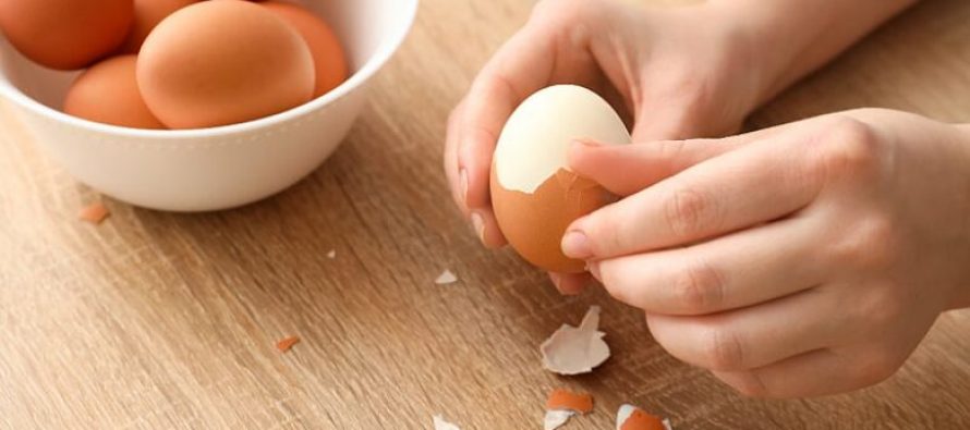 Sa kohë mund të hahen vezët pas zierjes?