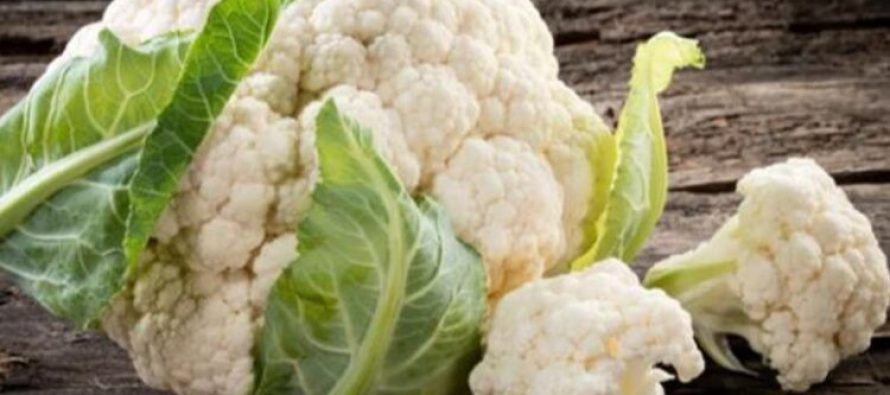 Lulelakra – perimja e dimrit me 5 përfitime të fuqishme shëndetësore