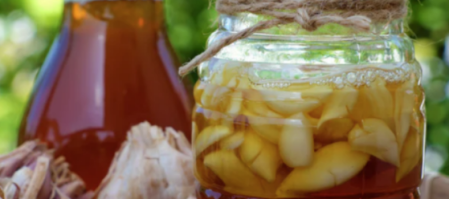 Çfarë i ndodh trupit kur hani hudhër me mjaltë?