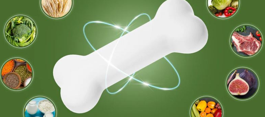 Ushqimi i pasur me kalcium për shëndetin e kockave