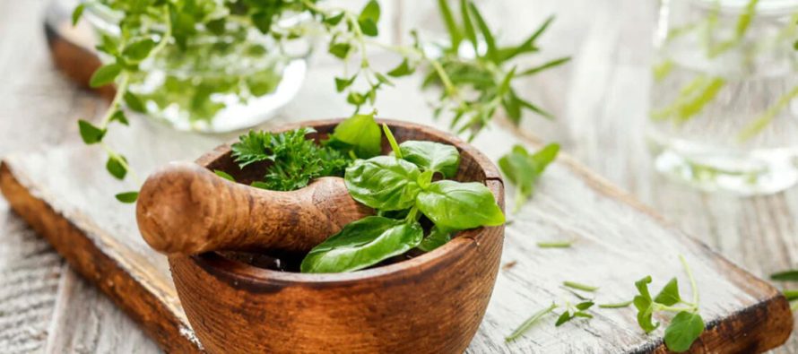 Nga xhenxhefili te kanella, ja erëzat që nxisin në mënyrë natyrale metabolizmin