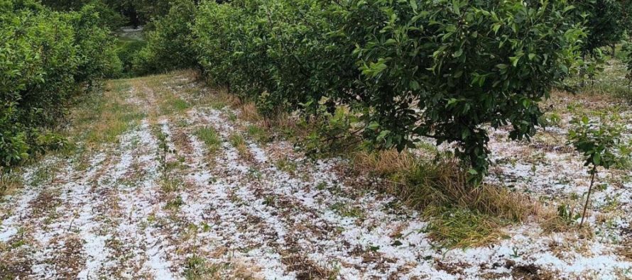 Kaos nga moti i lig në Serbi: Breshër gjigant dhe dëme të mëdha