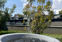 Moti sot sjell shi, stuhi dhe borë – një ditë me katër stinë në vend