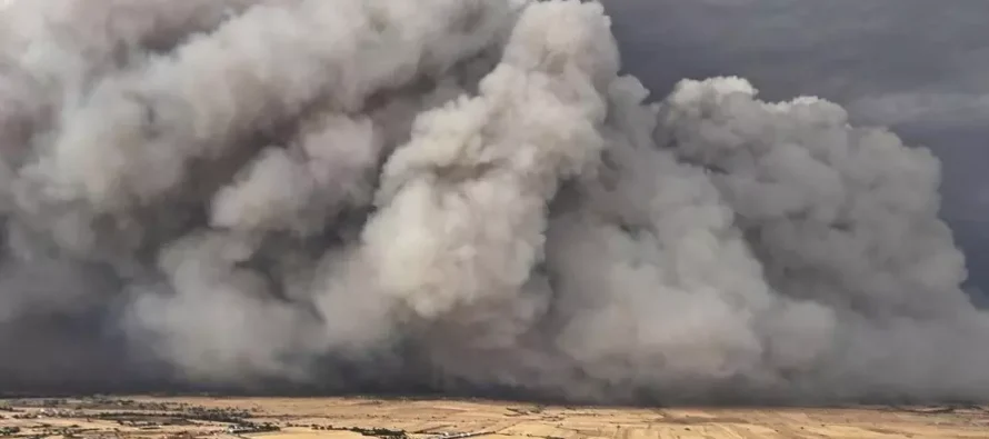 Zjarr në Mombeltran: Një zjarrfikës humb jetën, 500 hektarë të shkatërruar