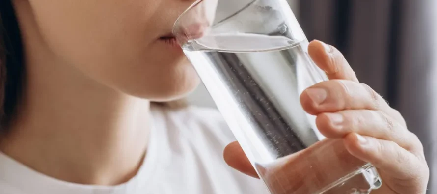 Shëndeti i zorrëve: Sekreti i një trupi dhe mendjeje të balancuar