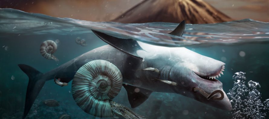 Zbulohet pse Toka u ‘përvëlua’ për 5 milionë vjet pas Vdekjes së Madhe