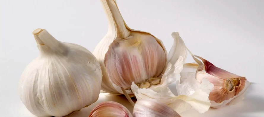 Ushqimet që ulin kolesterolin e keq dhe mbrojnë zemrën