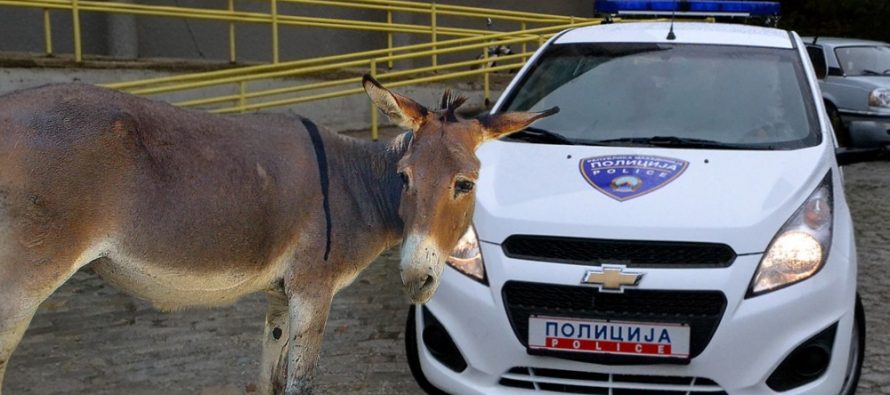 Makina e Policisë përplaset me një gomar
