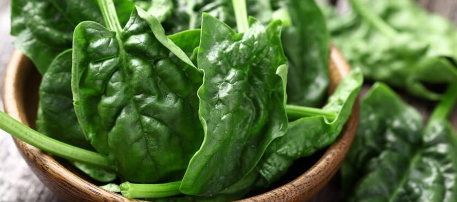 Ushqimet që lehtësojnë dhimbjen e kokës – çfarë të konsumoni?