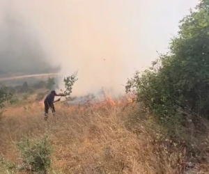 As vjeshta nuk i ndal zjarret në male, 28 raste të regjistruara