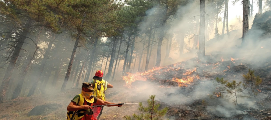 Zjarri nga Delvina përhapet në Gjirokastër – rrezikohen banesa dhe fshatra