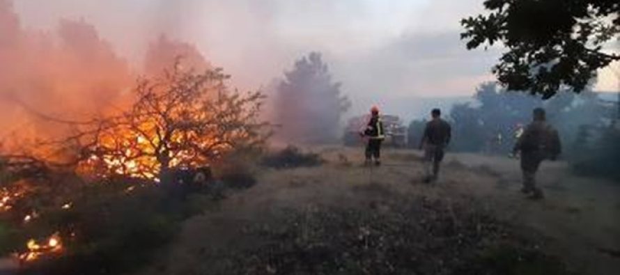 Arrestohen dy persona nën dyshimin se shkaktuan zjarr në vendin e quajtur Bllato, afër Liqenit të Tikveshit