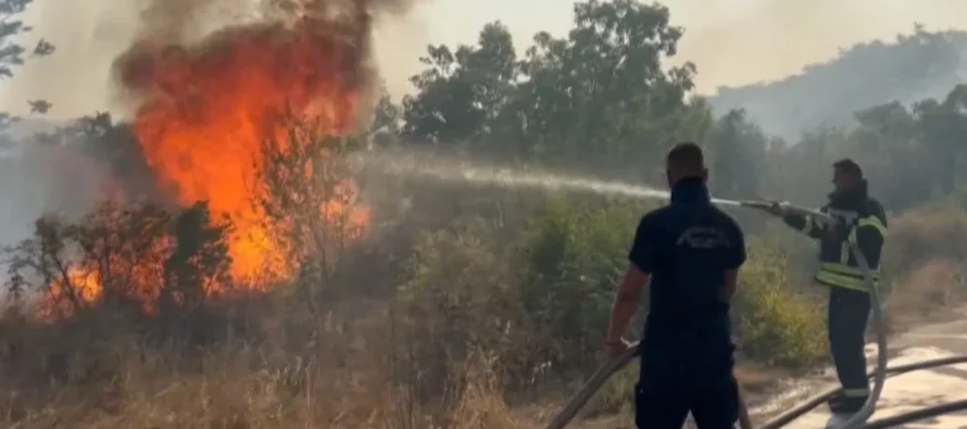 Zjarret prekin edhe rajonin/ Një viktimë në Mal të Zi! Dhjetëra vatra aktive në Kosovë