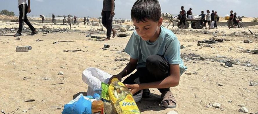 Uria shpallet në Gaza – mbi gjysmë milioni njerëz në rrezik