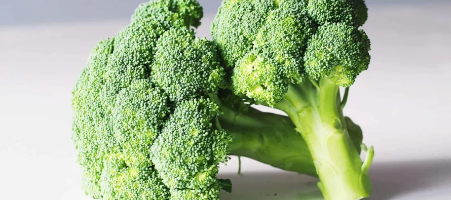 Brokoli, perimja që dashuron freskinë – si të kujdeseni për të