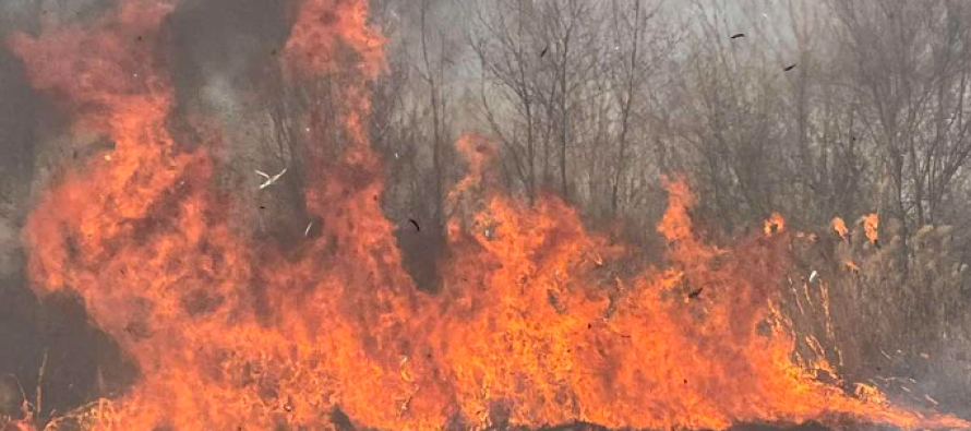 Zjarri alarmon banorët në Suharekë – ekipet zjarrfikëse në aksion