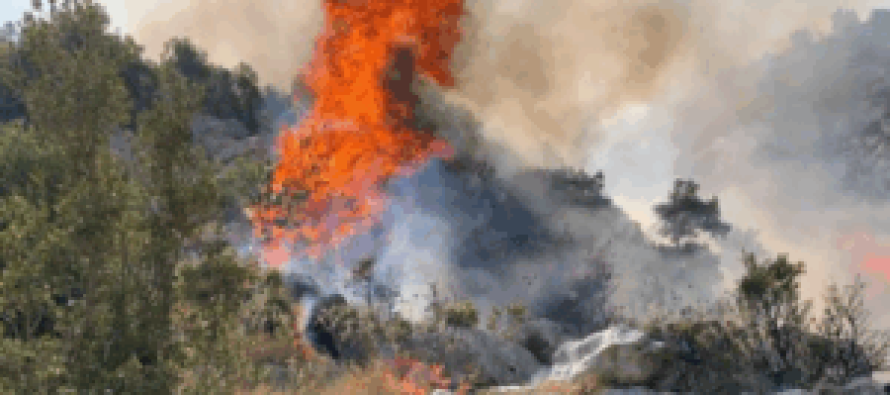 Zjarri në Plashnik del jashtë kontrollit – evakuohen banorët