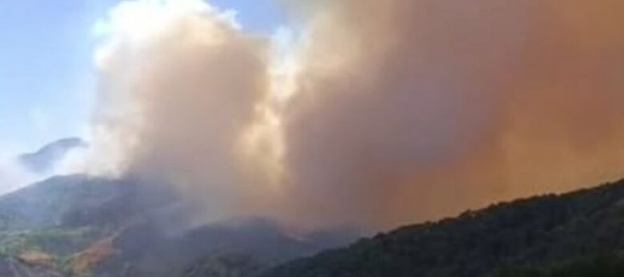 Tragjedi në Kullollas – I moshuari humb jetën nga flakët