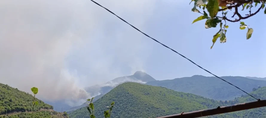 Shqipëria në flakë – Zjarret jashtë kontrollit! Banorët e tre fshatrave në Gramsh lëshojnë  shtëpitë