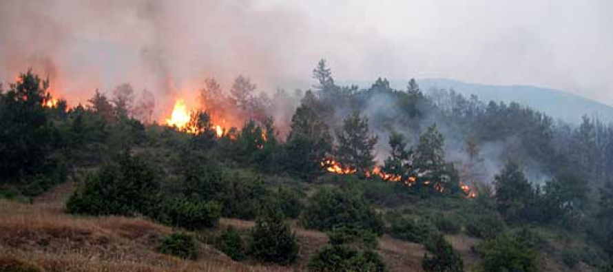 Tetovë: Arrestohet 70-vjeçar për zjarrvënie