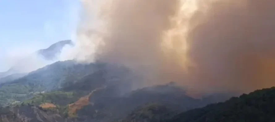 80-vjeçari humb jetën në flakët e Gramshit – Evakuohen fshatra të tëra