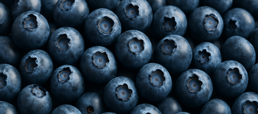 Kurat natyrale që ngadalësojnë plakjen – çfarë thonë ekspertët