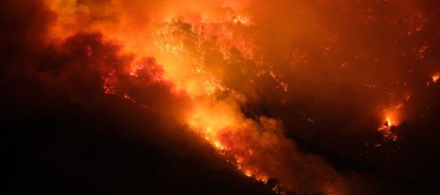 Zjarret në Europë: Kur natyra dhe njeriu bashkohen në katastrofë