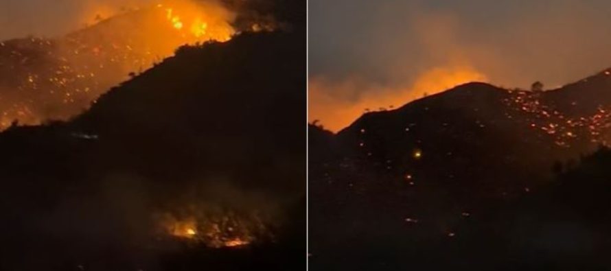 Alarm në Gjirokastër – zjarr masiv në kodrat e Humelicës