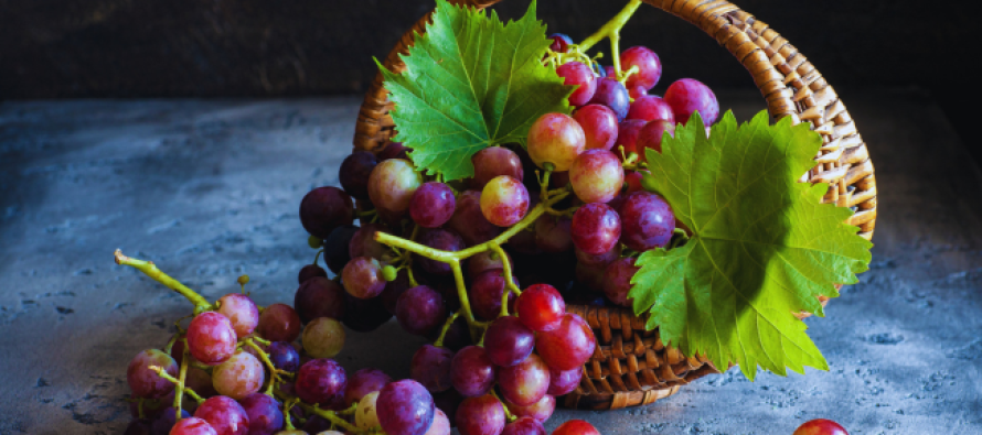 Sekreti për ta mbajtur rrushin të freskët për javë të tëra