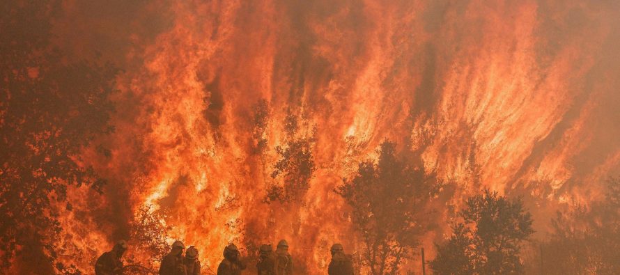 Evropa në flakë: 44°C dhe zjarre të pakontrollueshme në Francë, Itali, Spanjë