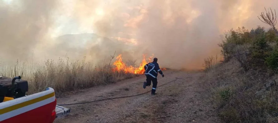 Zjarre në Gjevgjeli, Tetovë dhe Krushevë – autoritetet në terren