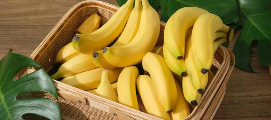 Bananja në mëngjes – frut i shëndetshëm, por jo të konsumohet gjithmonë me stomak bosh