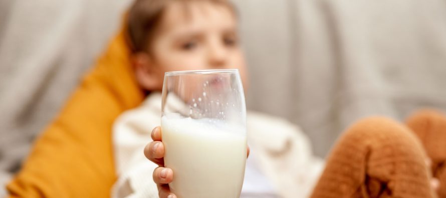 Laktoza, sheqeri i qumështit që u shkakton probleme miliona njerëzve