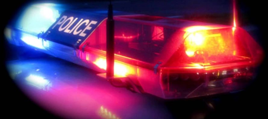 Alarm në Itali – shqiptari me probleme mendore shkakton panik